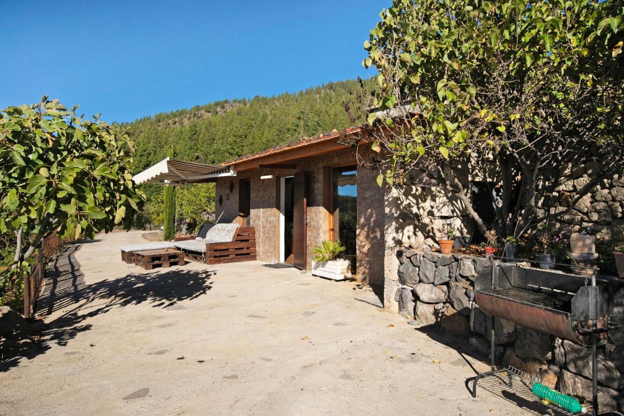 El Cazador 2 Villa Granadilla De Abona Exterior photo